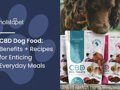 CBD Dog Food: Benefits + Recipes for Enticing Everyday Meals