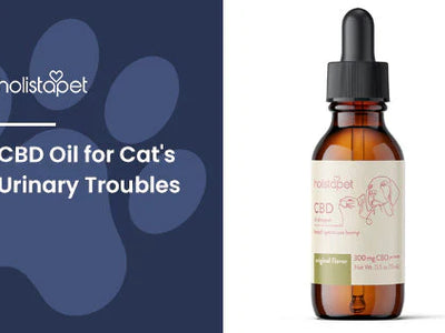 CBD Oil for Cats Peeing [How CBD Can Help Your Cat's Urinary Troubles]