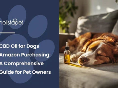 Can You Buy CBD Oil for Dogs on Amazon? What to Check First