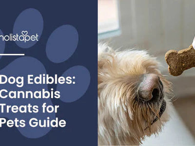 Dog Edibles [Edible Cannabis Treats for Dogs]