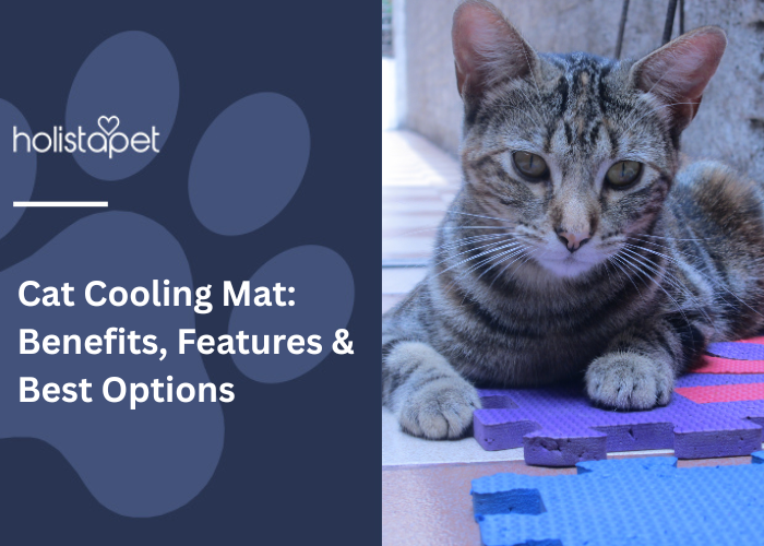 Gray tabby cat lying on a colorful cooling mat.