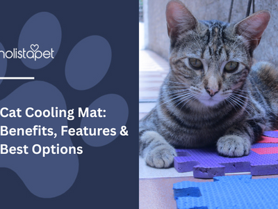 Cat Cooling Mat: Benefits, Features & Best Options