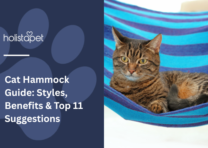 Tabby cat lounging in a blue striped hammock next to a guide title on cat hammocks