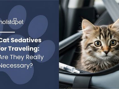 Cat Sedatives for Travelling: Are They Really Necessary?