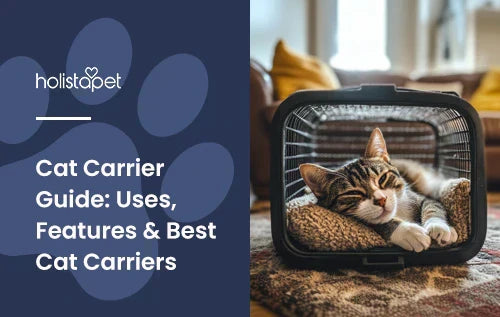 A black, white, and brown cat laying down in a black cat carrier.