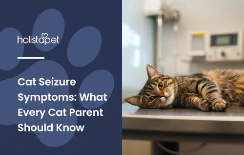 A cat laying down on a vet's table.