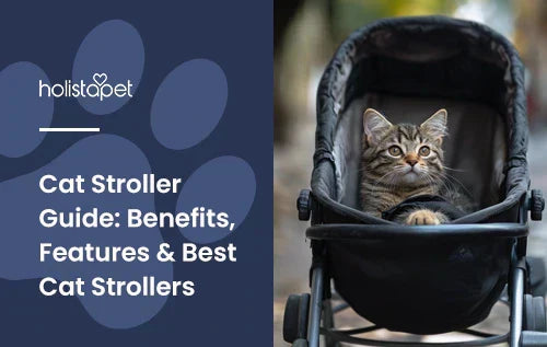 A cat laying down in a stroller.