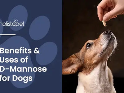 D-Mannose for Dogs [Happy Bladder, Happy Pup]