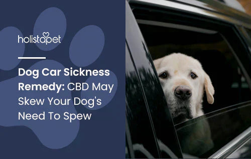 Remedy for Dog Car Sickness
