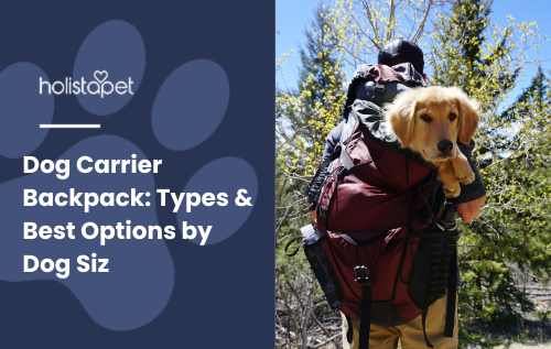 Dog Carrier Backpack Feature image by Holistapet. A person hikes outdoors with a dog comfortably sitting in a backpack carrier.