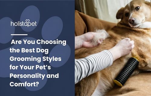 Are You Choosing the Best Dog Grooming Styles for Your Pet’s Personality and Comfort?