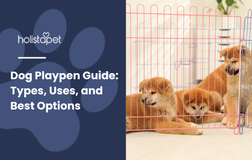 Dog Playpen Guide featured blog image by Holistapet. Shows three puppies resting and playing inside a colorful indoor playpen.