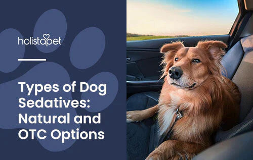 Natural Sedatives for Dogs