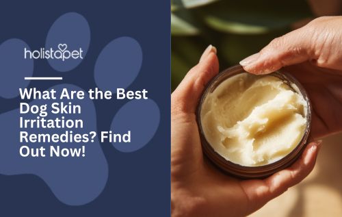 What Are the Best Dog Skin Irritation Remedies? Find Out Now!