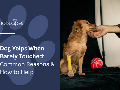 Dog Yelps When Barely Touched: Common Reasons & How to Help