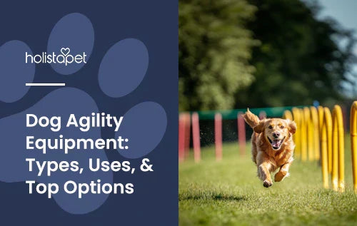A golden retriever running in an open grass field with agility equipment in the background.
