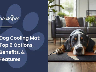 Dog Cooling Mat: Top 6 Options, Benefits, & Features