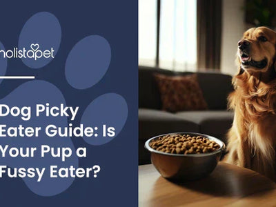 Dog Picky Eater Guide: Is Your Pup a Fussy Eater?