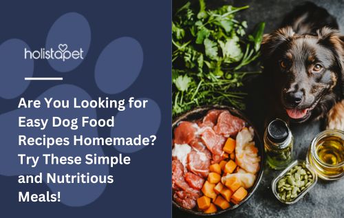 Are You Looking for Easy Dog Food Recipes Homemade? Try These Simple and Nutritious Meals!