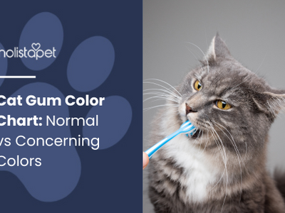 Cat Gum Color Chart: Normal vs Concerning Colors