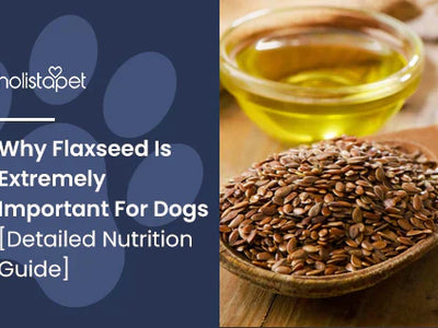 Why Flaxseed Is Extremely Important For Dogs [Detailed Nutrition Guide]
