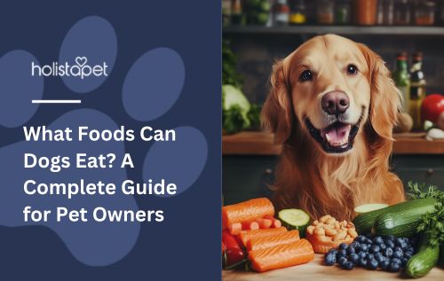 What Foods Can Dogs Eat? A Complete Guide for Pet Owners