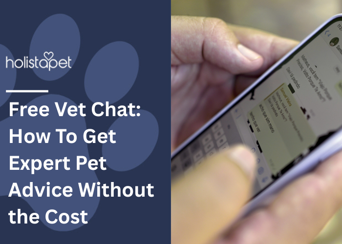 Free Vet Chat Feature Image by Holistapet