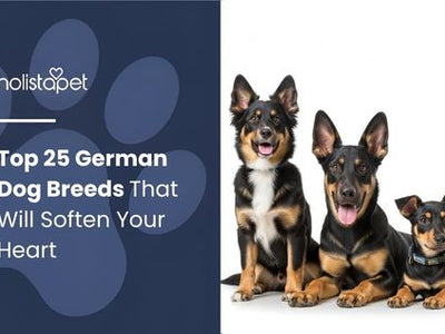 Top 25 German Dog Breeds That Will Soften Your Heart
