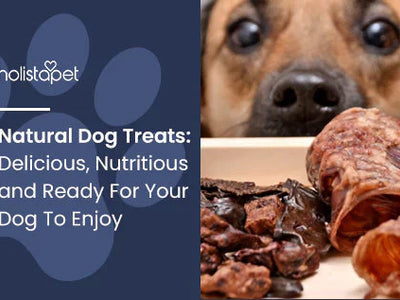 Natural Dog Treats: Delicious, Nutritious and Ready For Your Dog To Enjoy