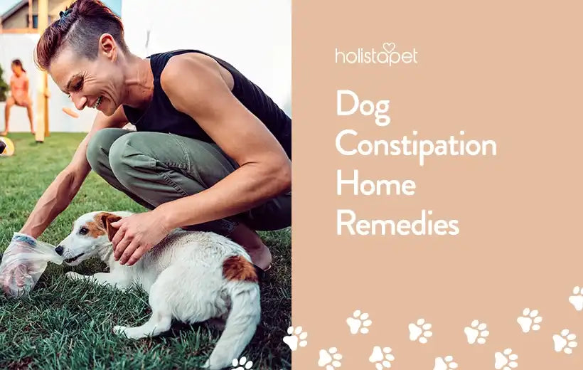 Home Remedies For Dog Constipation