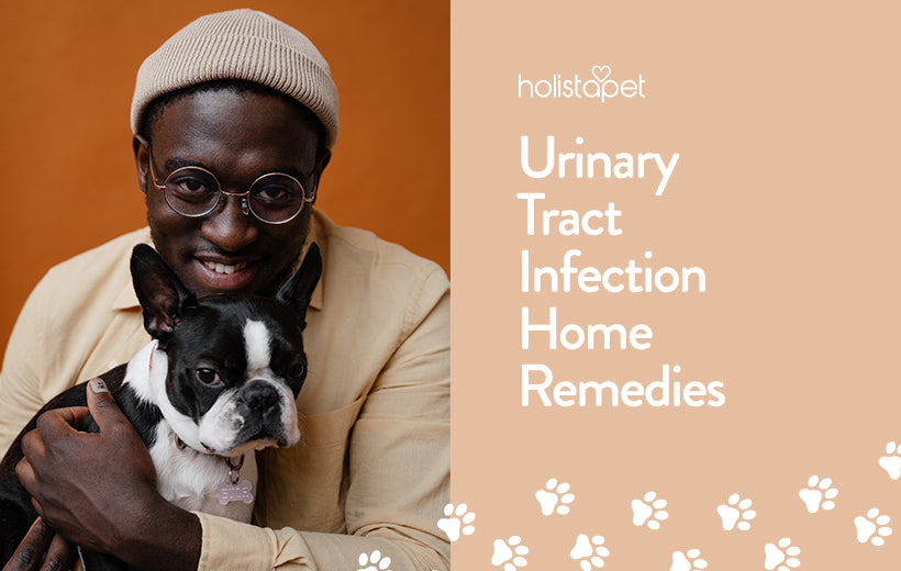 Dog Bladder Infection Home Remedy List