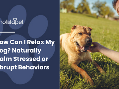 How Can I Relax My Dog? Naturally Calm Stressed or Abrupt Behaviors