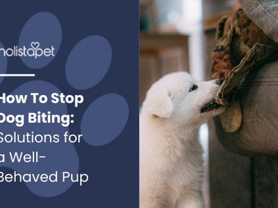 How To Stop Dog Biting: Solutions for a Well-Behaved Pup