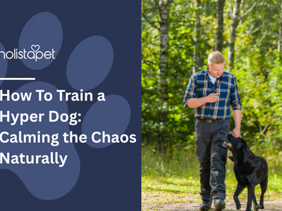How To Train a Hyper Dog: Calming the Chaos Naturally