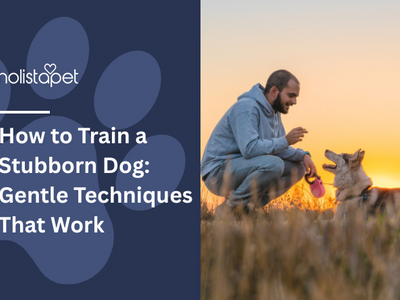 How to Train a Stubborn Dog: Expert Tips Revealed