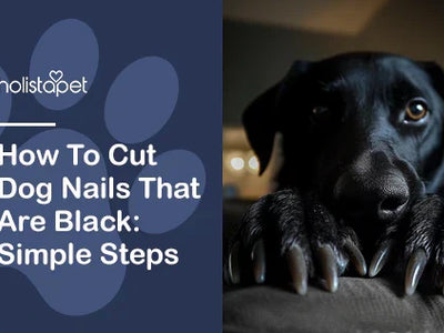 How To Cut Dog Nails That Are Black: Simple Steps