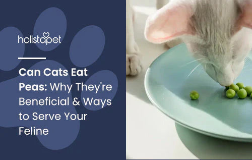 Can you give cats peas? Find out now!