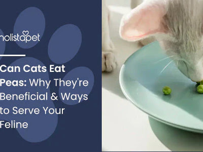Can Cats Eat Peas: Why They're Beneficial & Ways to Serve Your Feline
