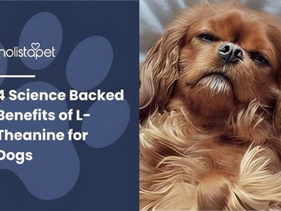 4 Science Backed Benefits of L-Theanine for Dogs