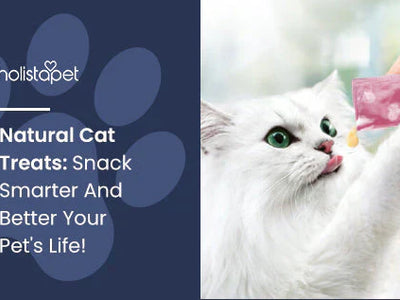 Natural Cat Treats: Snack Smarter And Better Your Pet's Life!