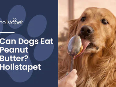 Can Dogs Eat Peanut Butter? Are There Any Risks?
