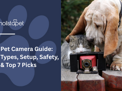 Pet Camera Guide: Types, Setup, Safety, & Top 7 Picks