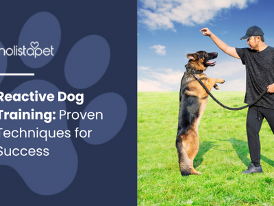 Reactive Dog Training: Proven Techniques for Success