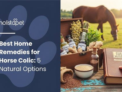 Best Home Remedies for Horse Colic: 5 Natural Options