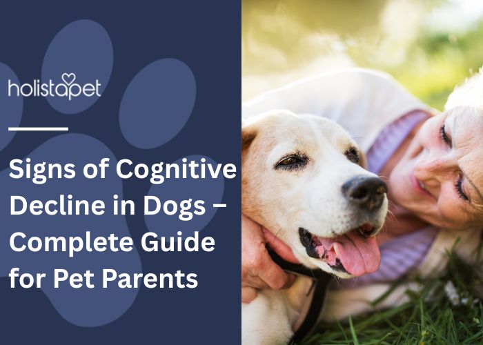 Signs of Cognitive Decline in Dogs Feature Blog Image by Holistapet. Shows a happy older dog laying in the grass with its owner.