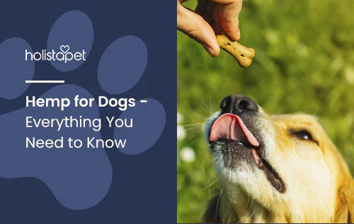 Effects of Hemp on dogs