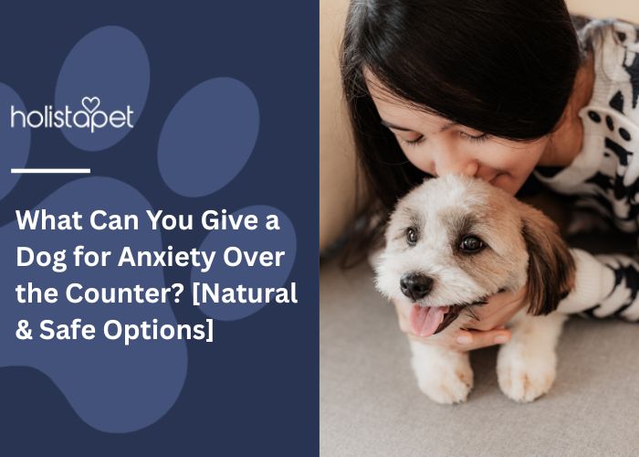 What Can You Give a Dog for Anxiety Over the Counter Feature Image by Holistapet