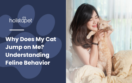 Why Does My Cat Jump on Me?" blog image by Holistapet. Features a woman happily cuddling an orange tabby cat indoors.