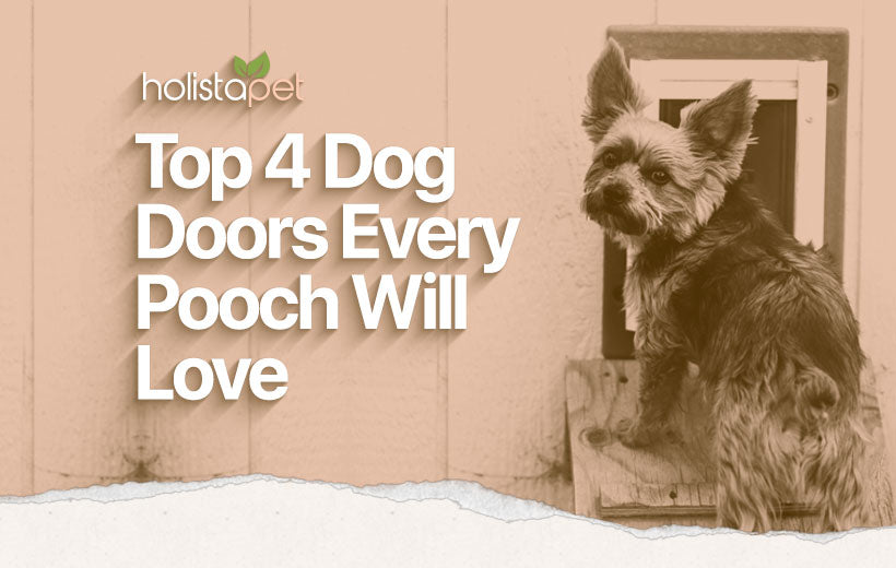 Best Dog Door [The Top 4 Doors Available Now + Key Features]