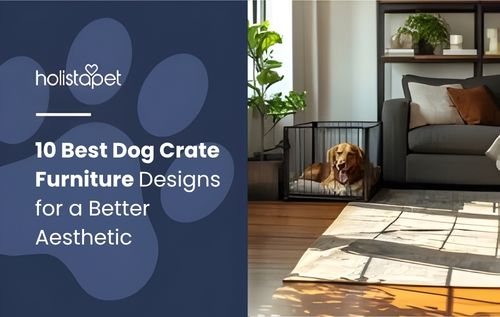 A brown dog lies comfortably inside one of the best dog crate furniture pieces, placed in a cozy living room with a sofa and bookshelf in the background, blending style and function perfectly.